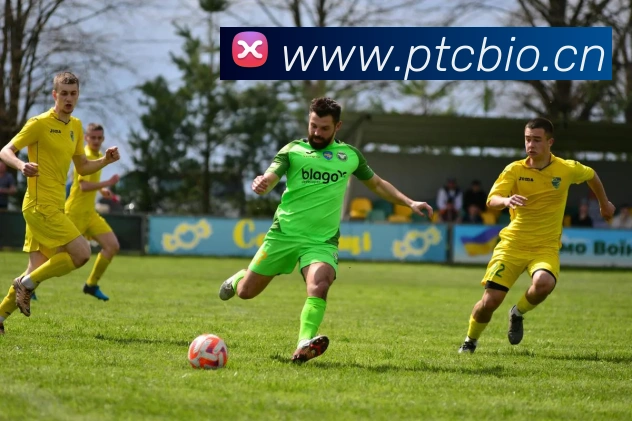 mksports登录入口发展历程