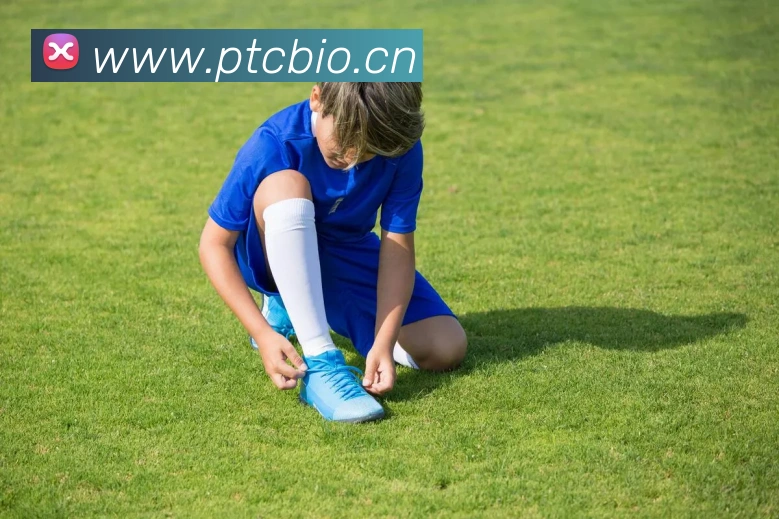 欧冠回放免费观看指南：合法渠道与高清赛事全收录